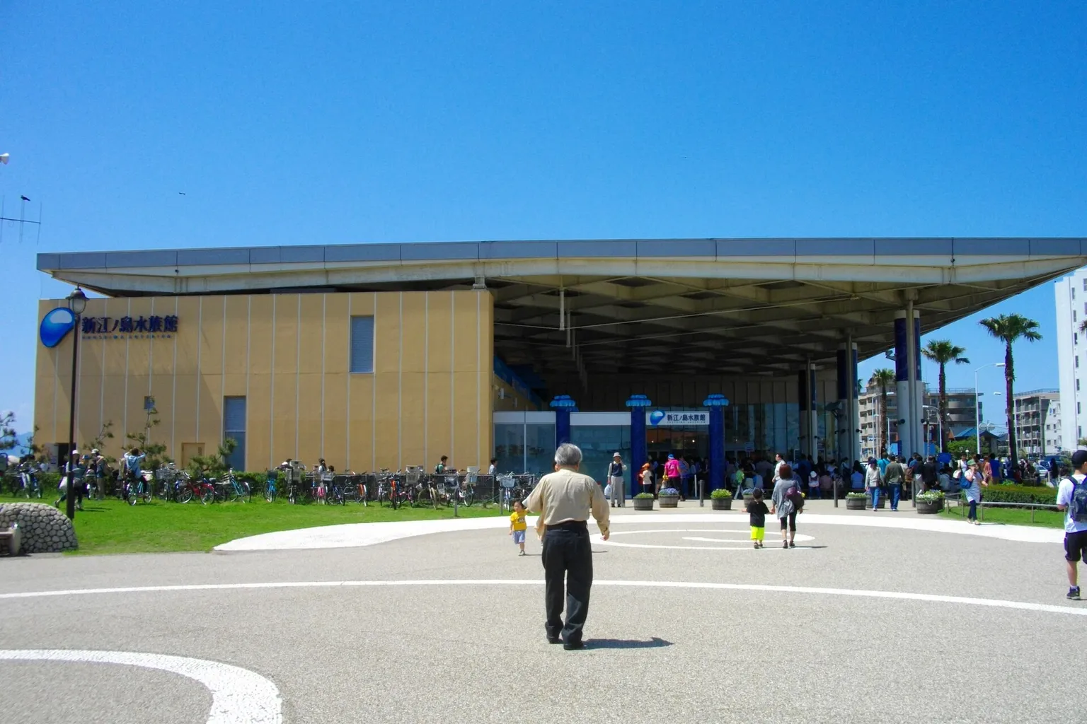 Entradas para el Acuario de Enoshima: web oficial vs. Klook