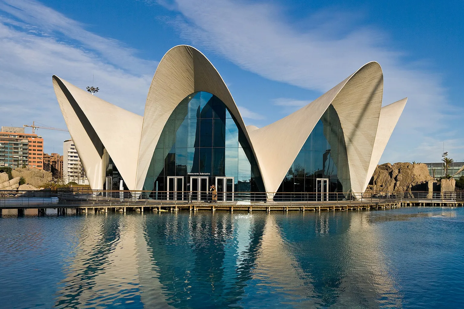 Oceanográfico de Valencia: ruta con app oficial o por libre