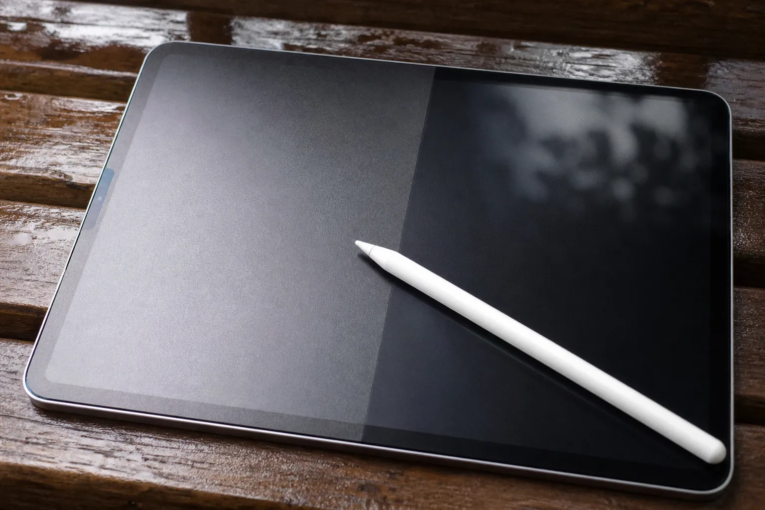 Protector mate o puntas de silicona para escribir en iPad