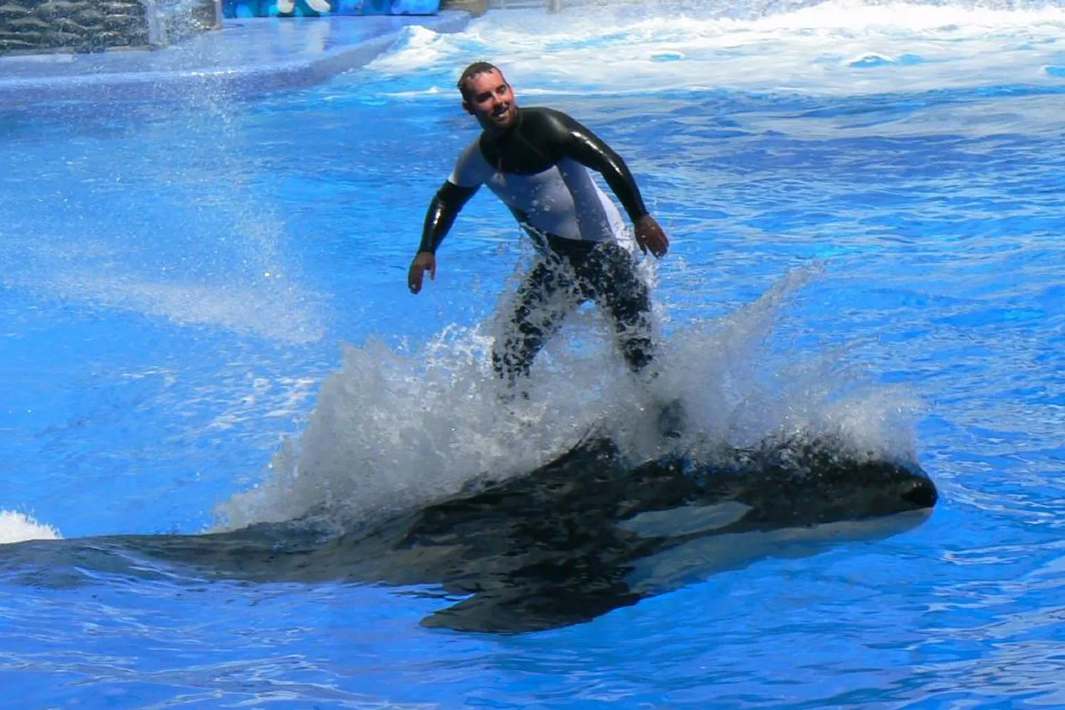 Entradas de SeaWorld Orlando: errores que inflan el precio