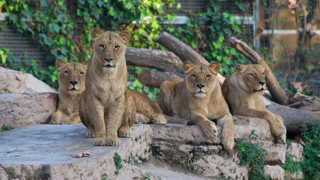 Zoo de Barcelona