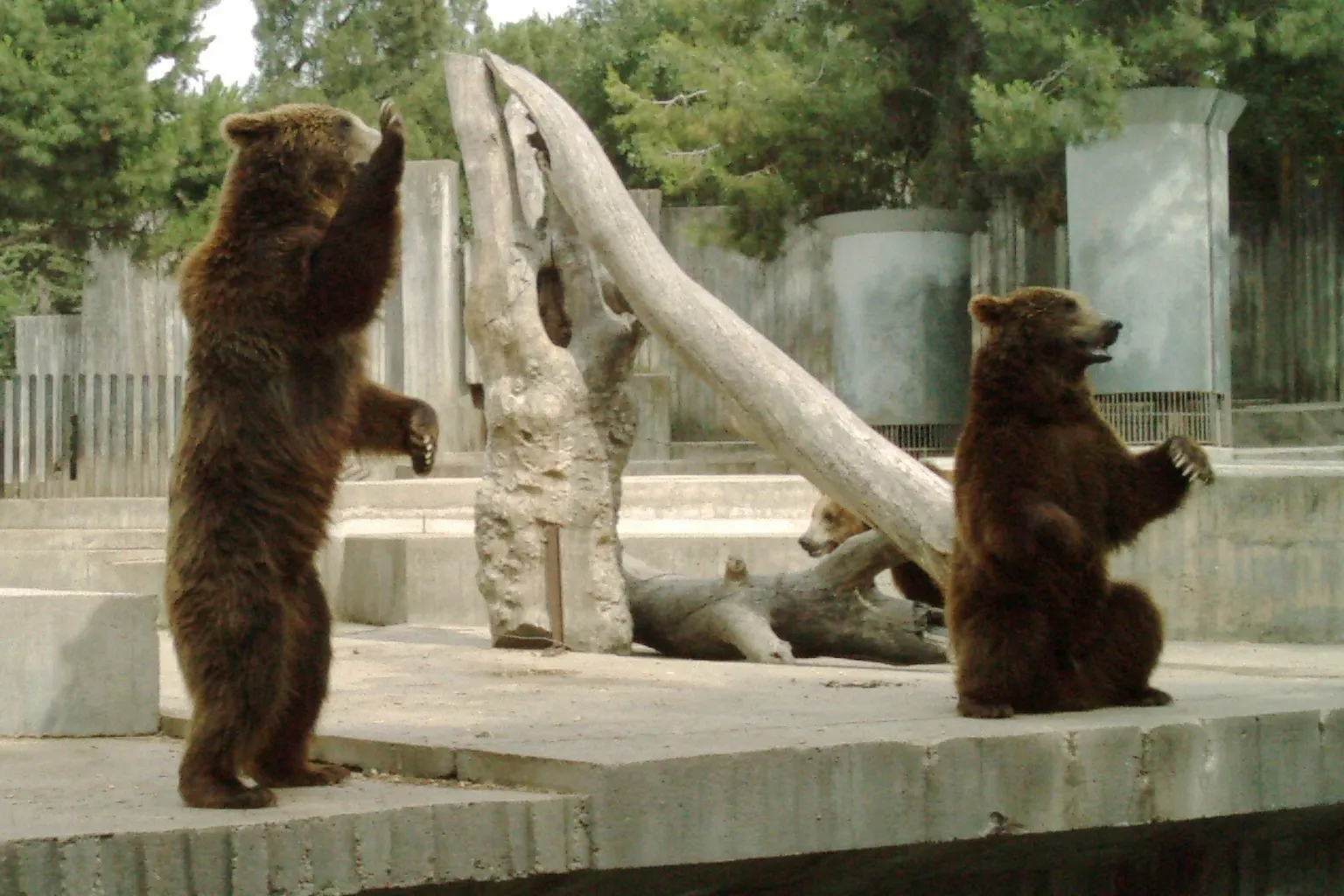 Zoo Aquarium de Madrid entradas: ruta de compra online y optimización del recorrido